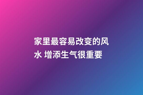 家里最容易改变的风水 增添生气很重要